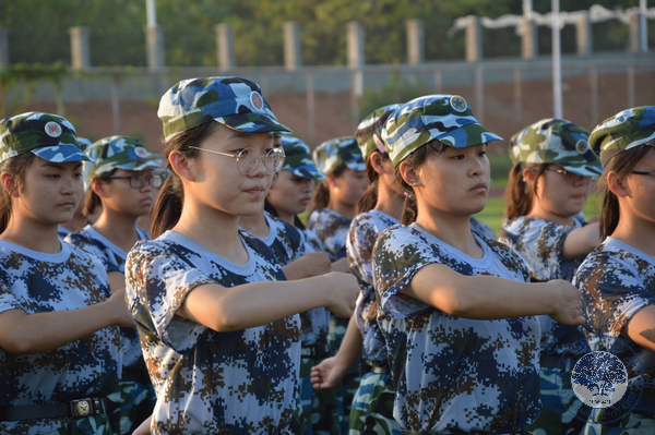 2bbc1ab8d709491d9ee938fa5c590381.png 图片5.png