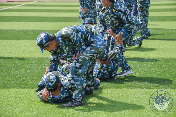 f3094456e4154d62a90eb95381d17540.png 图片4.png