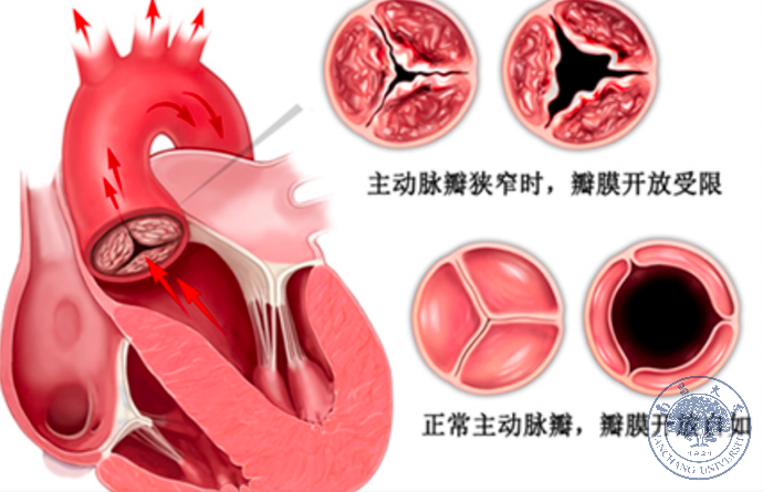 834f6a75acbc48e6aeb737eb72d2c0b0.png 834f6a75acbc48e6aeb737eb72d2c0b0.png