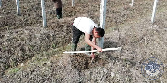 43b2abfe273b4b9197a6ba48e0e5082a.png 43b2abfe273b4b9197a6ba48e0e5082a.png