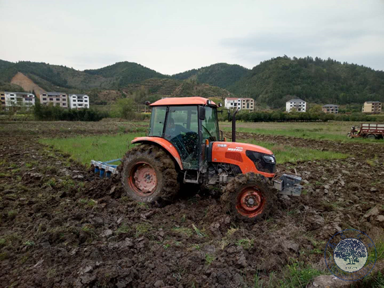 45c233d3320a4eeeb695526652c7df54.png 45c233d3320a4eeeb695526652c7df54.png