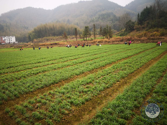 e4deeb3c46a045968d1ad9ff8a81d02b.png e4deeb3c46a045968d1ad9ff8a81d02b.png