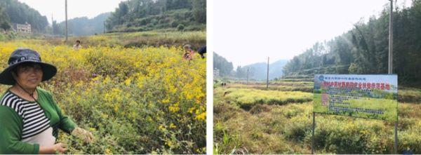 10112ef2687c446a9c7e5b66d8defb98.jpg 1.jpg