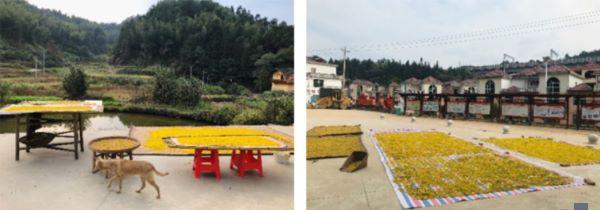 a91f4baad48945a2bca0e6451fd8ef15.jpg 3.jpg