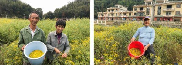 b203a9ad7c2941c798d41f6b56a8c5a1.jpg 2.jpg