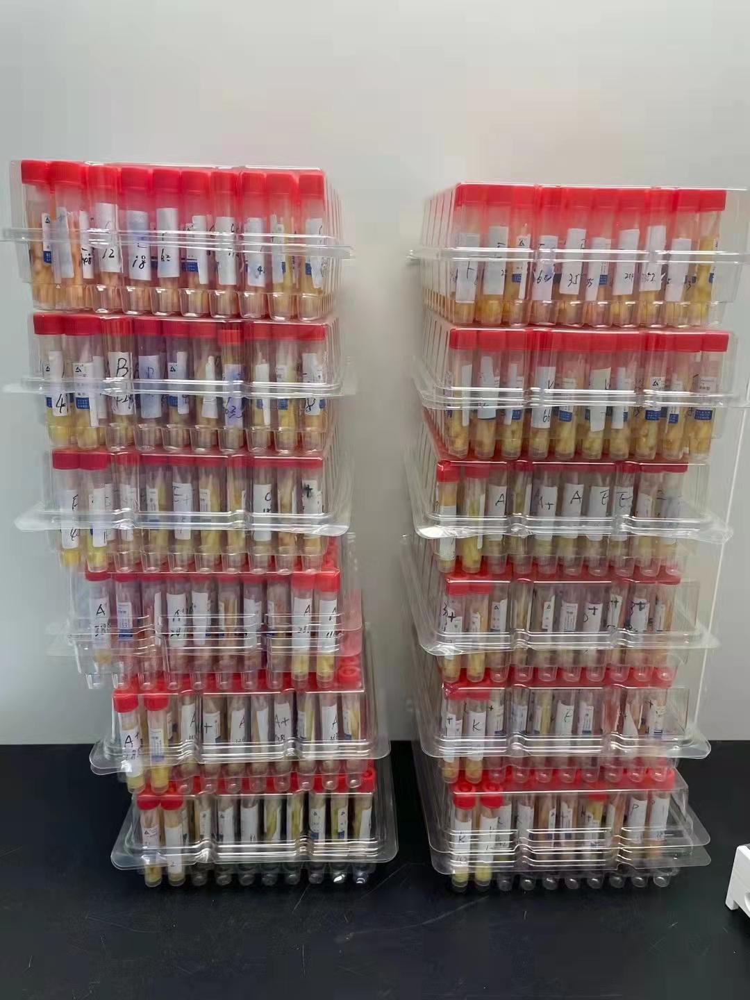 80df15c503e8463389ce3549fd9d472c.png 80df15c503e8463389ce3549fd9d472c.png