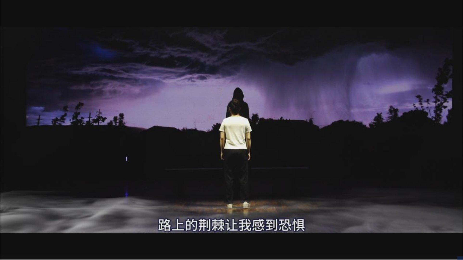 探索一路生花
