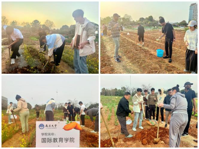 d497b305c6c349628a115ebef70d7759.png d497b305c6c349628a115ebef70d7759.png