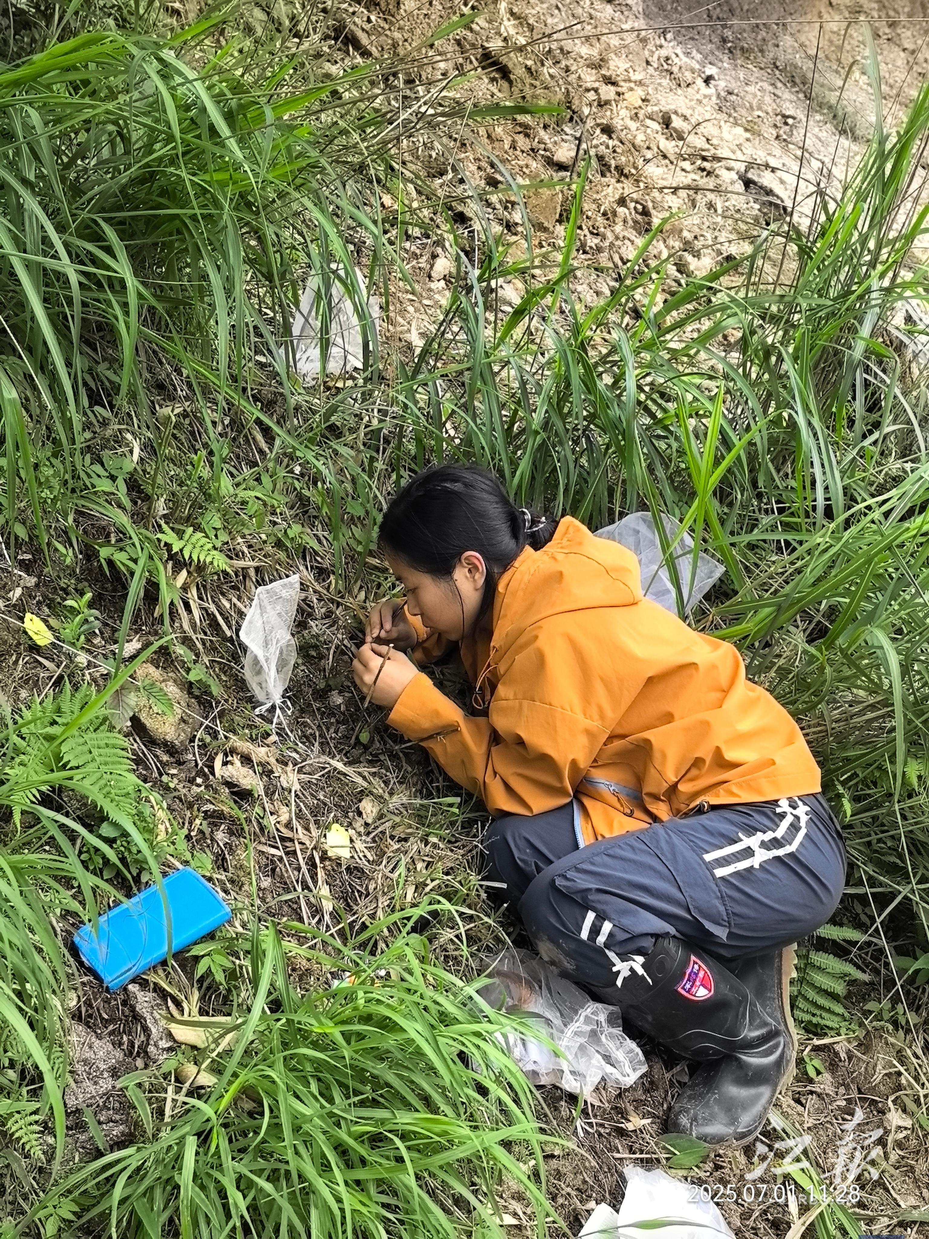 42ff38a9415843778fc32250254675fd.jpg 42ff38a9415843778fc32250254675fd.jpg