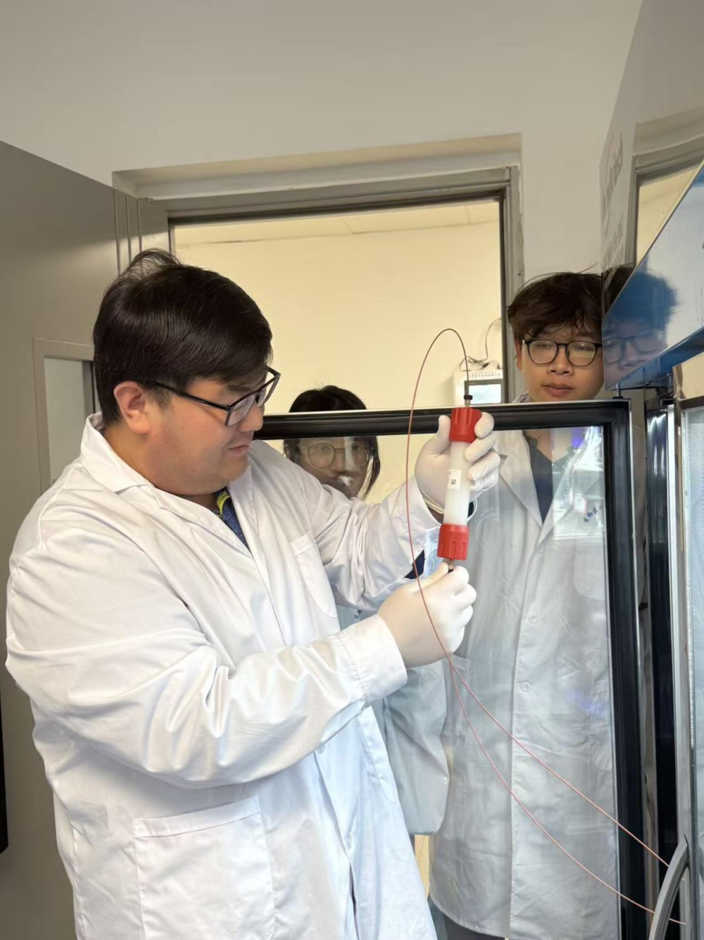 生物医学创新研究院王峥研究员开展细胞自噬的分子机制研究 生物医学创新研究院王峥研究员开展细胞自噬的分子机制研究