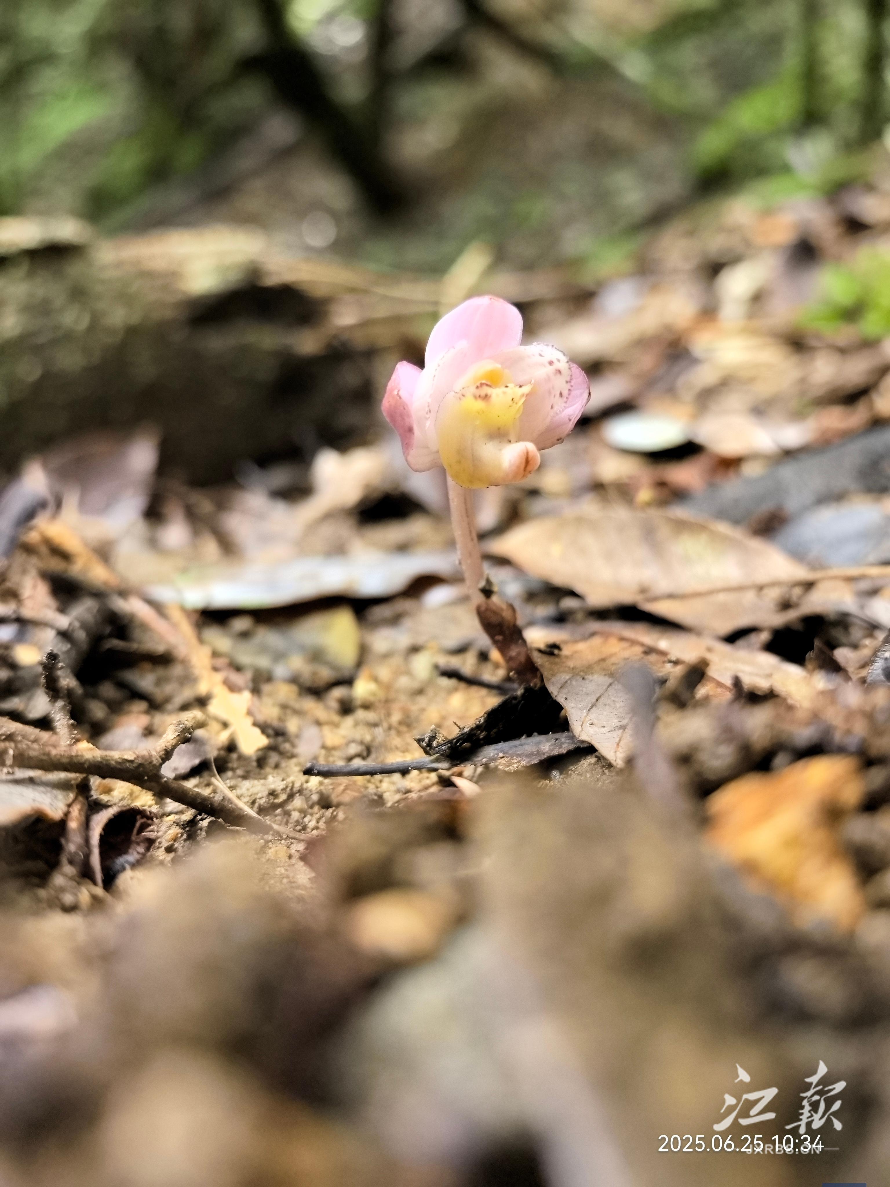 63c295240058462f943a5afa93f2ed2c.jpg 63c295240058462f943a5afa93f2ed2c.jpg