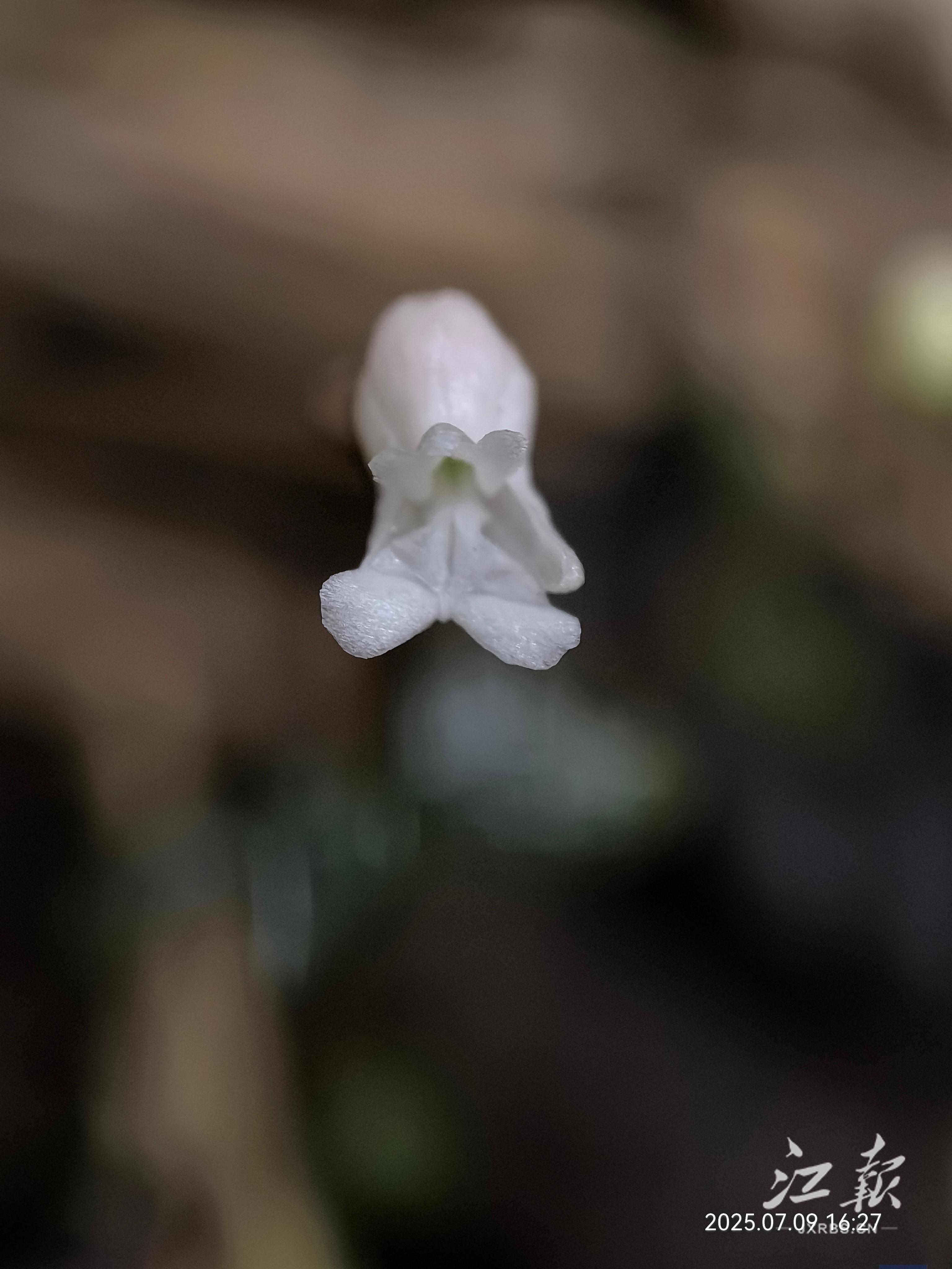 81605dff7fae42e497708a751a495676.jpg 81605dff7fae42e497708a751a495676.jpg