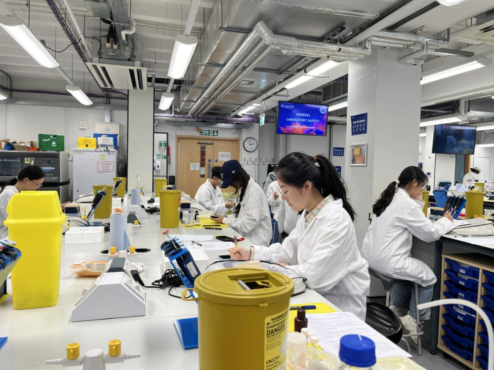 学生在英国伦敦玛丽女王大学开展科研训练 学生在英国伦敦玛丽女王大学开展科研训练