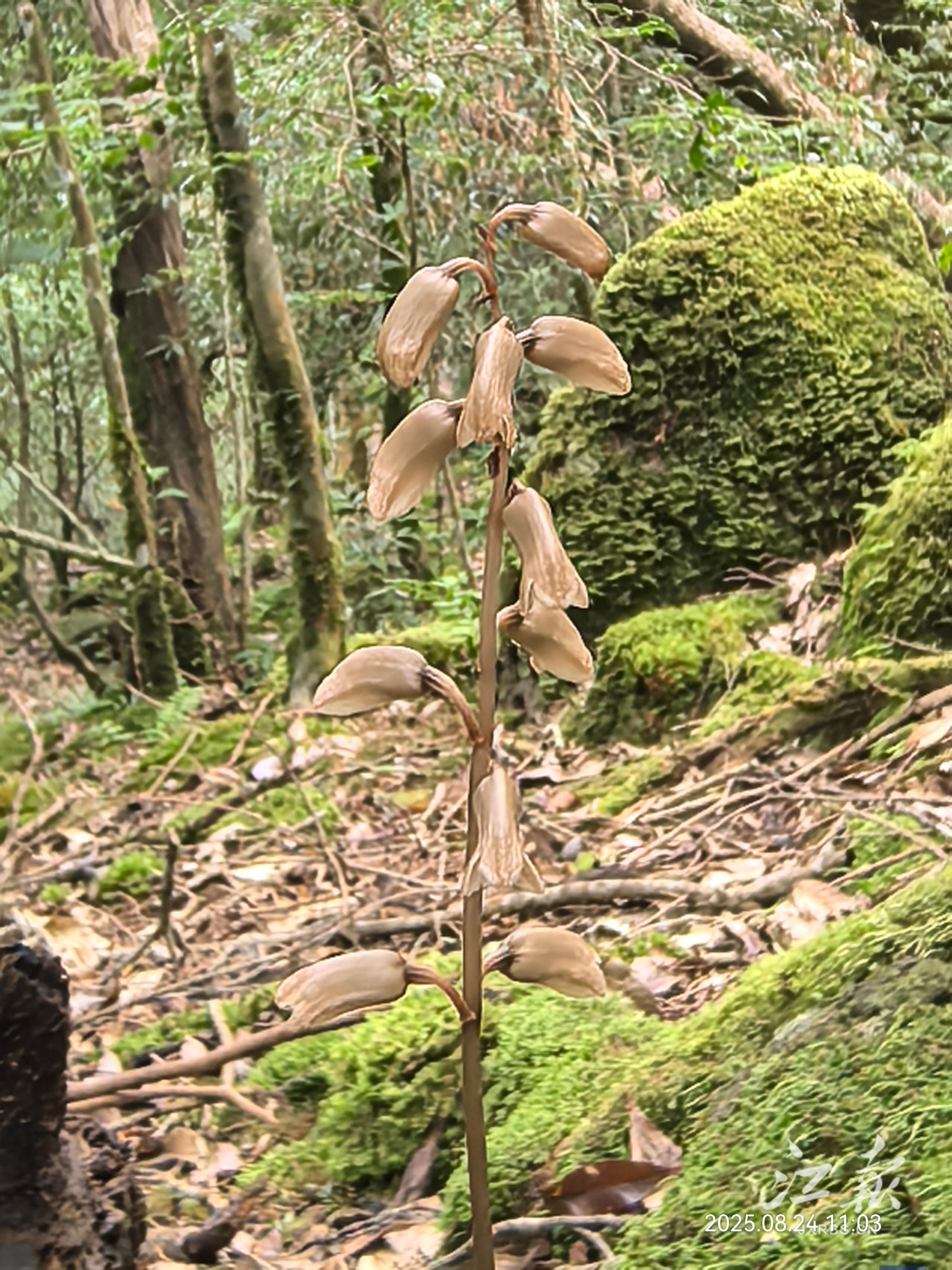 ba7274a0a7b64fc491e2cbb963e810dc.jpg ba7274a0a7b64fc491e2cbb963e810dc.jpg